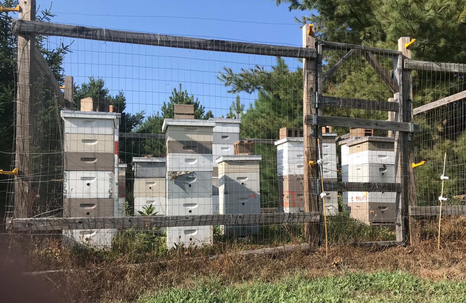 beehives at McKenzie Orchard in Spooner Wisconsin