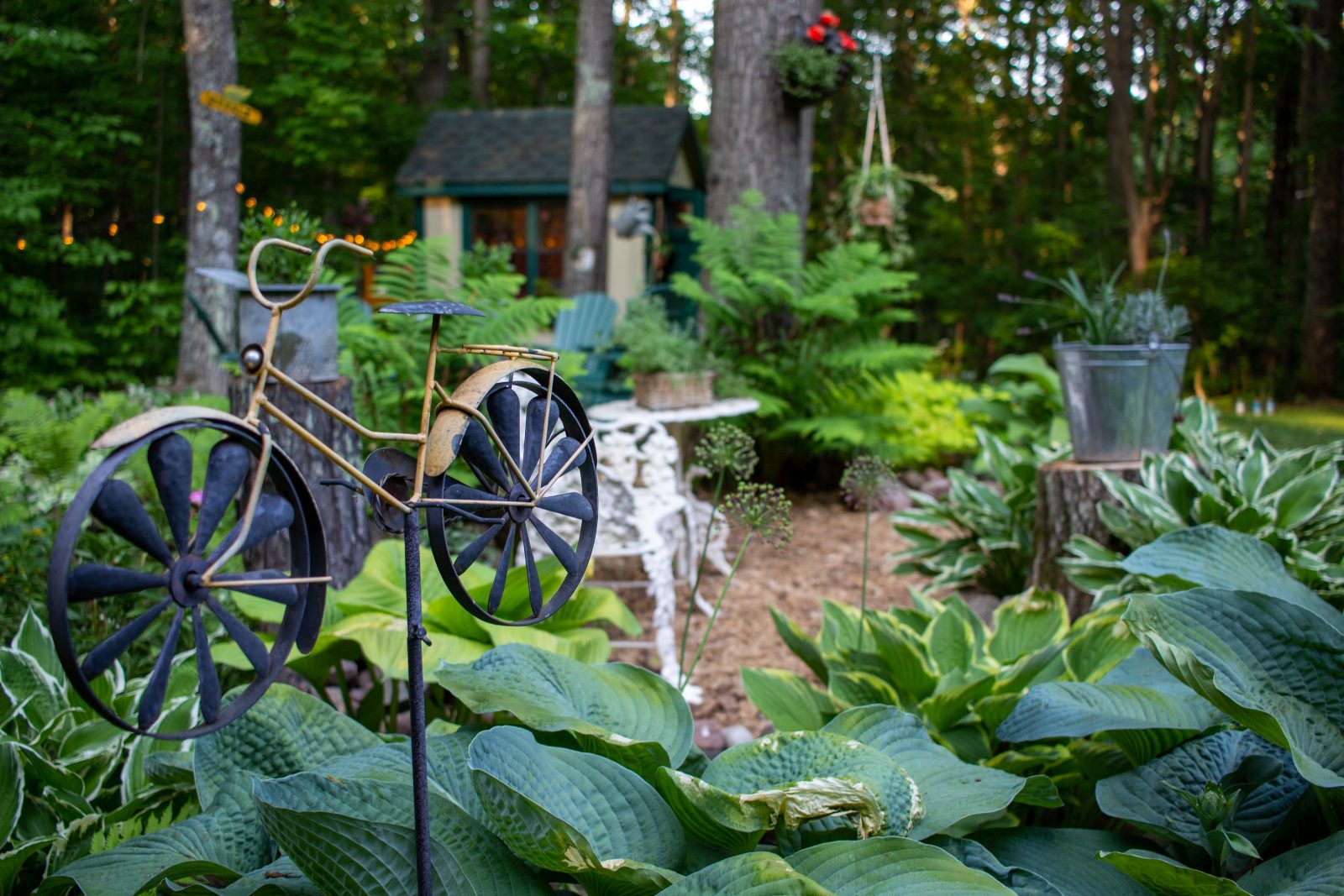 garden she shed ideas for upper midwest