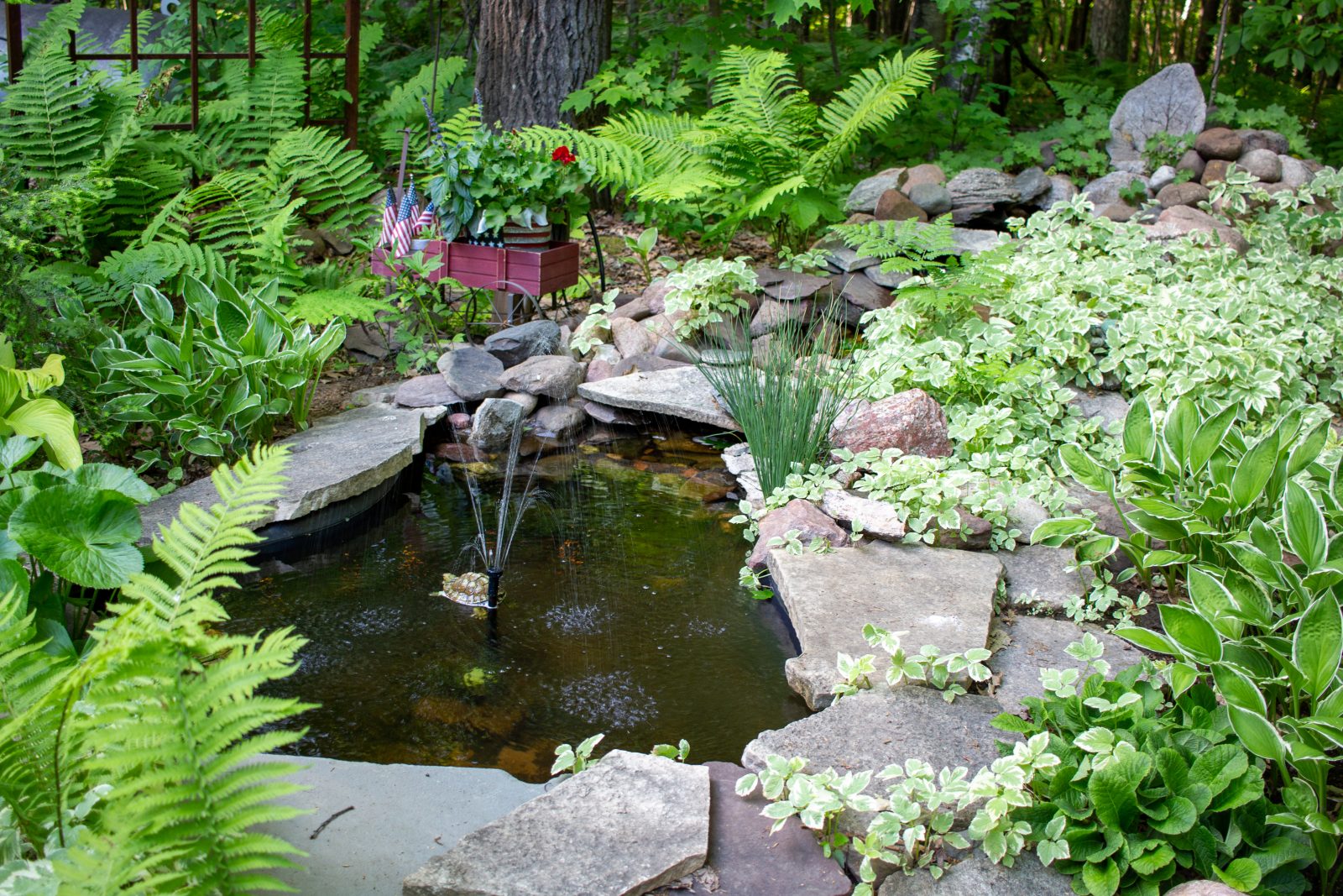 beautiful garden with she shed in wisconsin