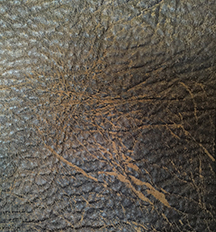colt coffee fabric for hickory furniture
